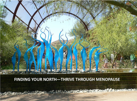 Finding Your North - Thrive in Menopause